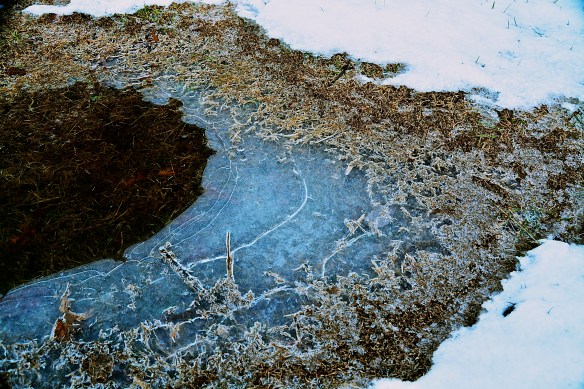 Lin and Michael's Photos