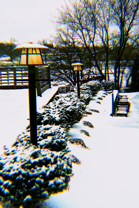 Lin and Michael's Photos