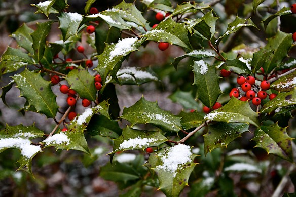 Lin and Michel's Photos