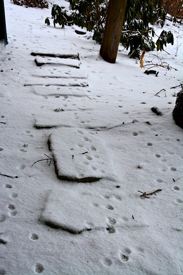 Lin and Michael's Photos