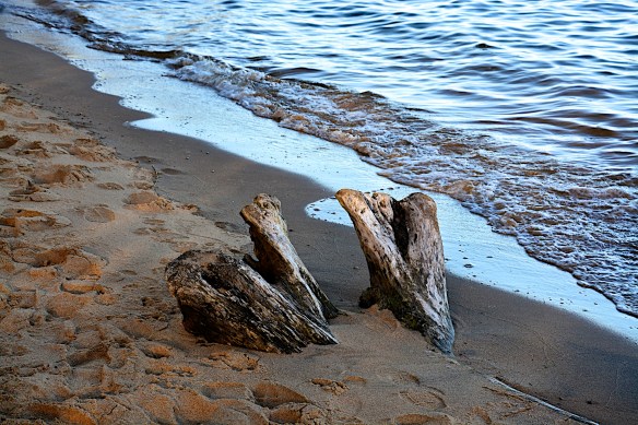 Lin and Michael's Photos