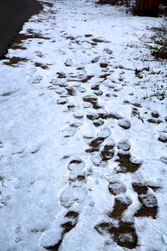 Lin and Michael's Photos