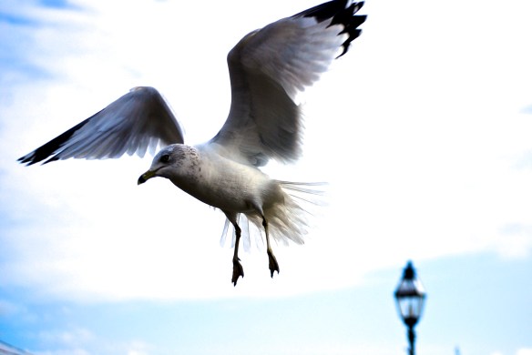 Lin and Michael's Photos