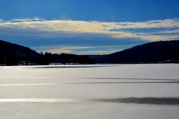 Lin and Michael's Photos