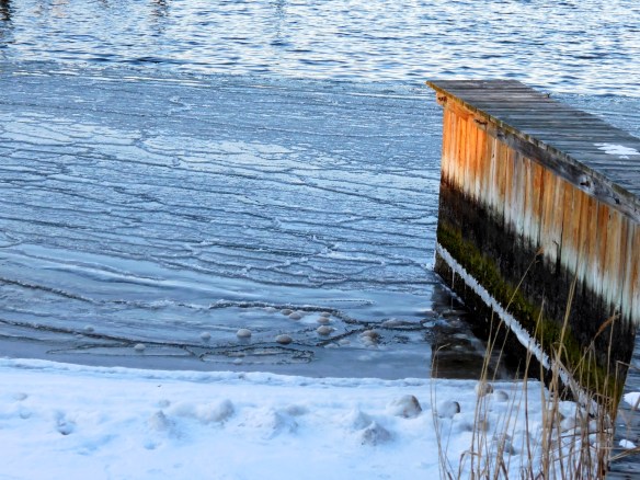 Lin and Michael's Photos