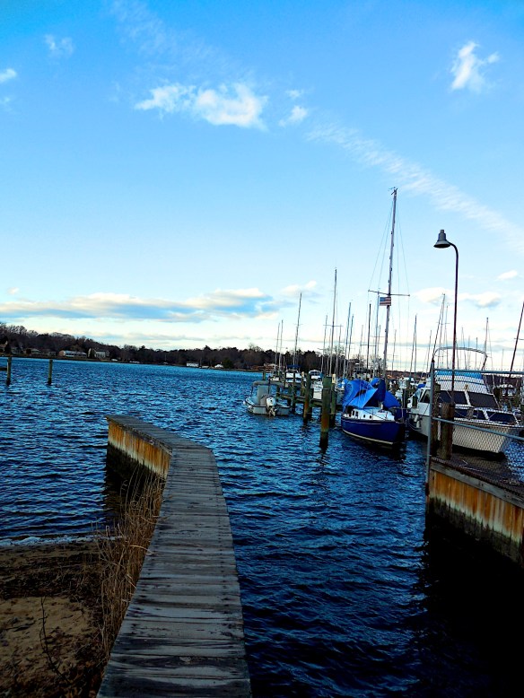 Lin and Michael's Photos