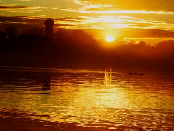 Lin and Michael's Photos