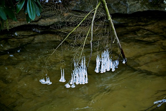 Lin and Michael's Photos