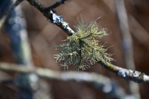 Lin and Michael's Photos