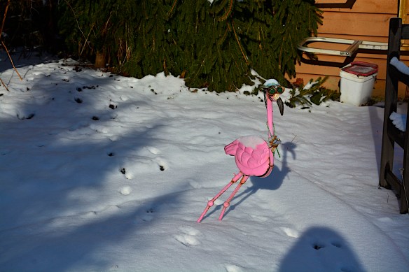 Lin and Michael's Photos