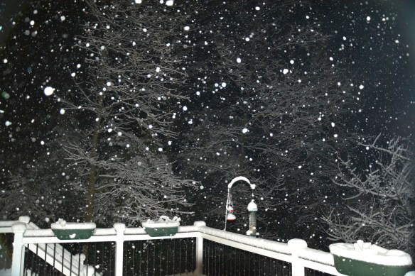 Lin and Michael's Photos