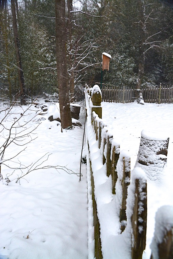 Lin and Michael's Photos