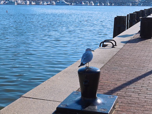 Lin and Michael's Photos