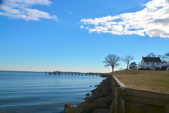 Lin and Michael's Photos