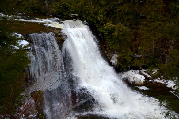 Lin and Michael's Photos