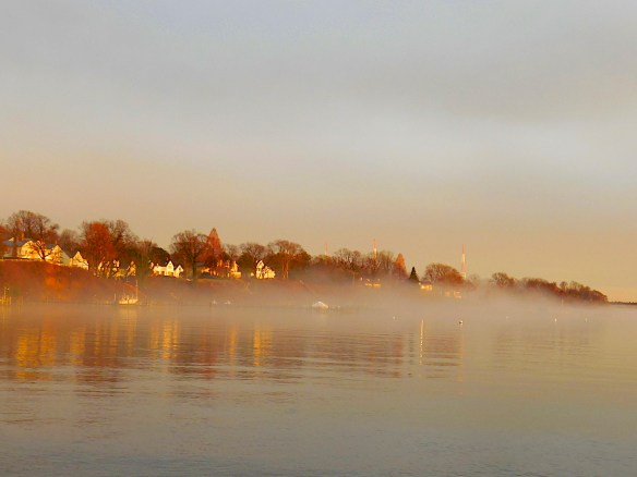 Lin and Michael's Photos