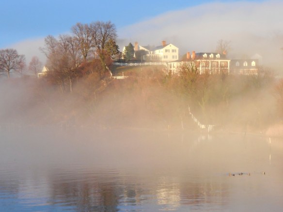 Lin and Michael's Photos