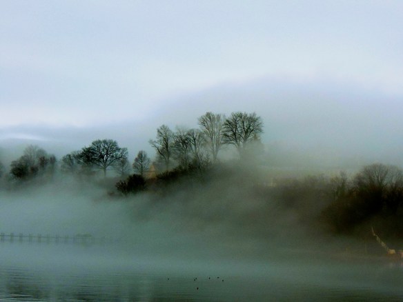 Lin and Michael's Photos