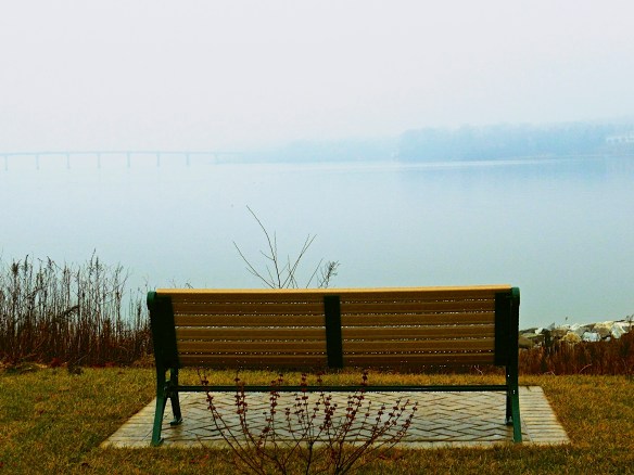 Lin and Michael's Photos