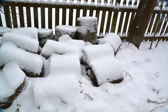 Lin and Michael's Photos