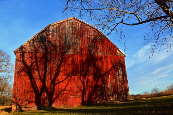 Lin and Michael's Photos