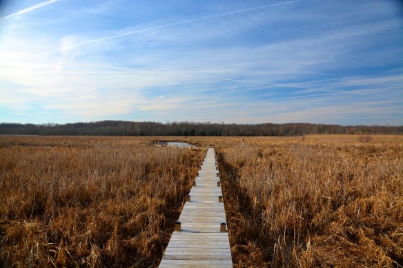 Lin and Michael's Photos