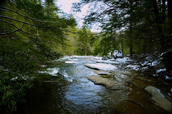 Lin and Michael's Photos