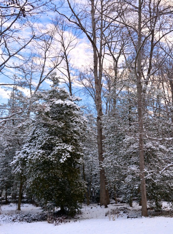 Lin and Michael's Photos