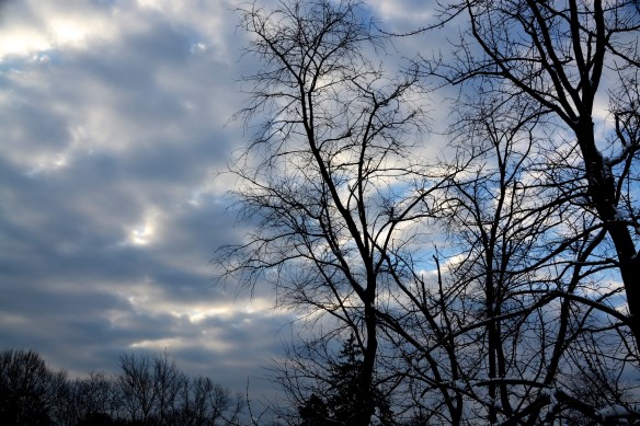 Lin and Michaels Photos