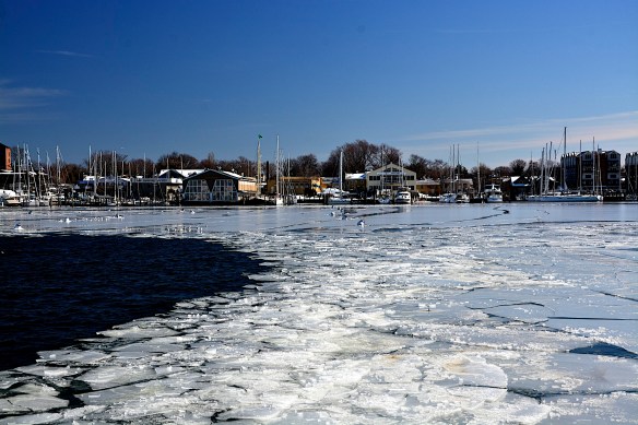 Lin and Michael's Photos