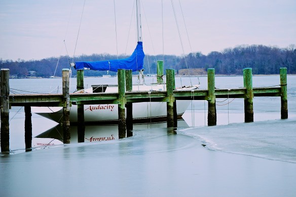 Lin and Michael's Photos