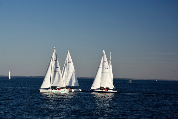 Lin and Michael's Photos