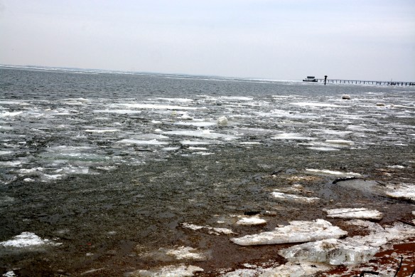 Lin and Michael's Photos