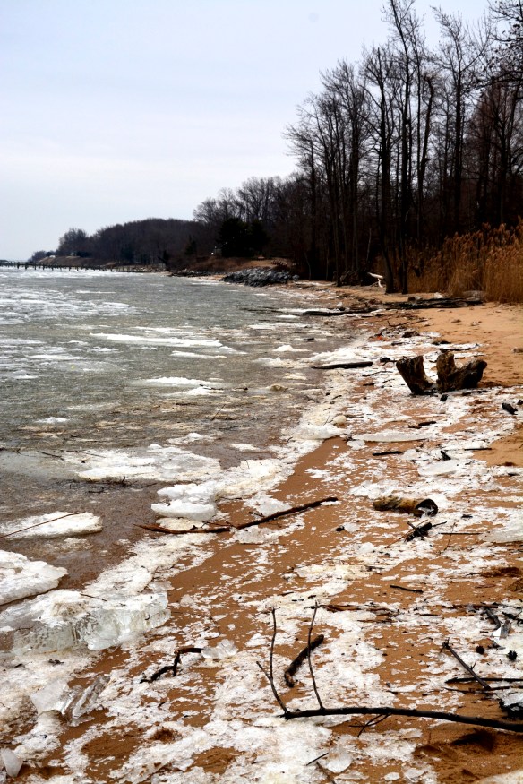 Lin and Michael's Photos