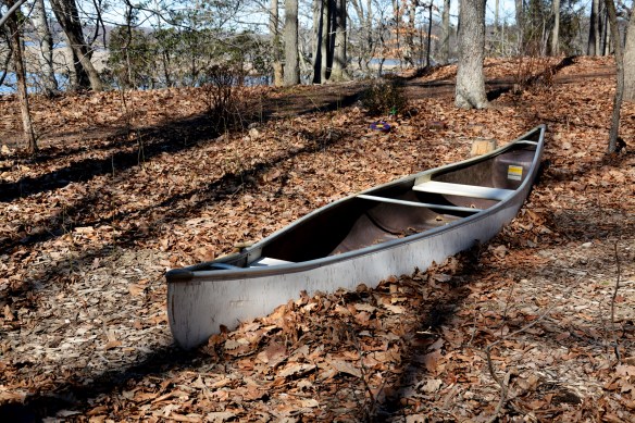 Lin and Michael's Photos