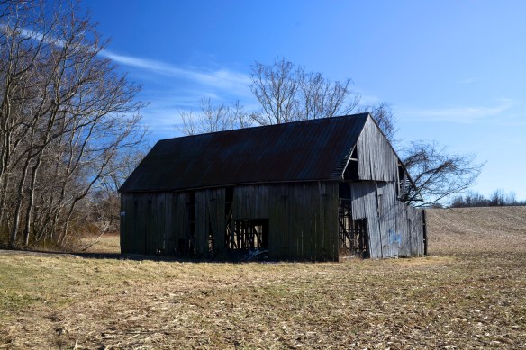 Lin and Michael's Photos