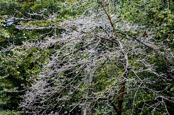 Lin and Michael's Photos