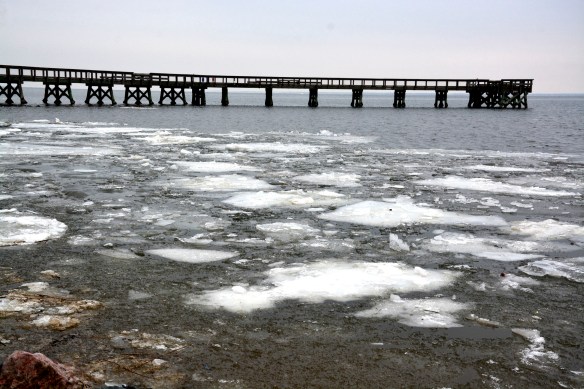 Lin and Michael's Photos