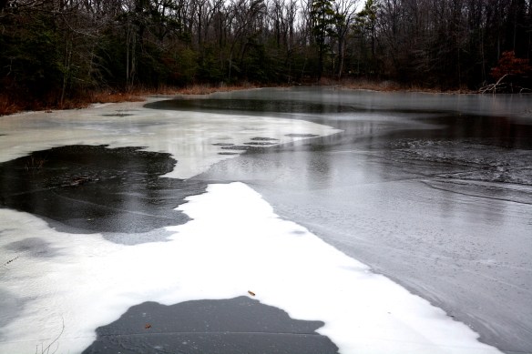 Lin and Michael's Photos