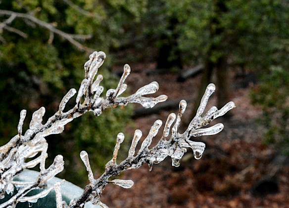 Lin and Michael's Photos