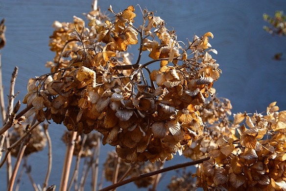 Lin and Michael's Photos