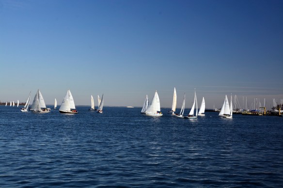 Lin and Michael's Photos