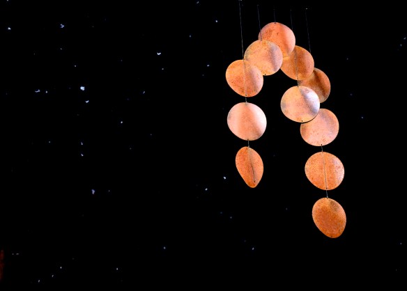 Lin and Michael's Photos