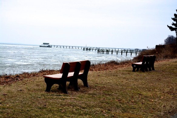 Lin and Michael's Photos