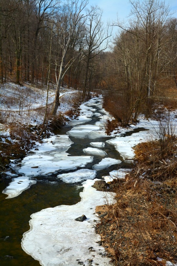 Lin and Michel's Photos