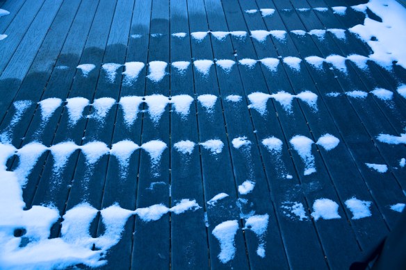 Lin and Michael's Photos