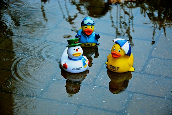 Lin and Michael's Photos