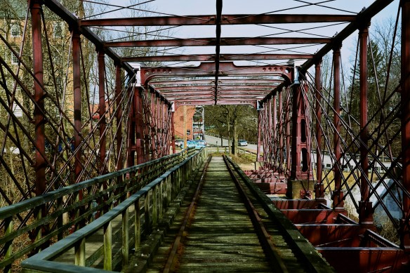 Lin and Michael's Photos