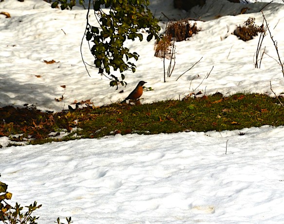 Lin and Michael's Photos