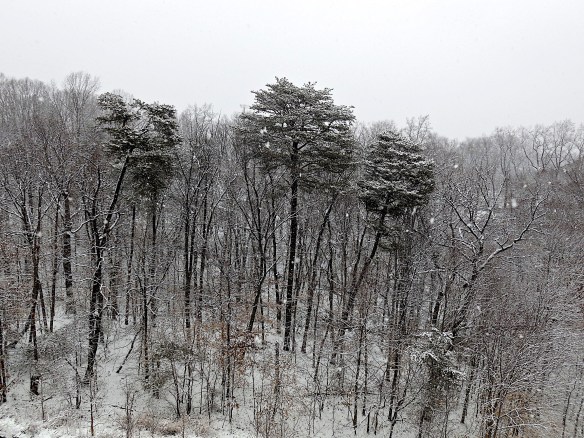 Lin and Michael's Photos